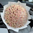 “101 Pink Mondial”