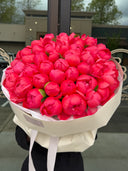 50 stems of Coral Charm Peonies