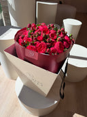 Roses “Piano Passion”
