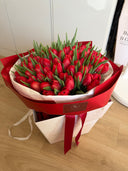 101 Red Dutch Tulips