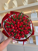 101 Red Dutch Tulips