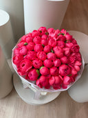 50 stems of Coral Charm Peonies