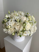 “White Beauty”